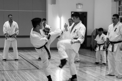 Karate-5-of-34